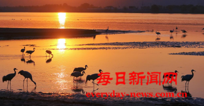 案22222222.png 案22222222.png