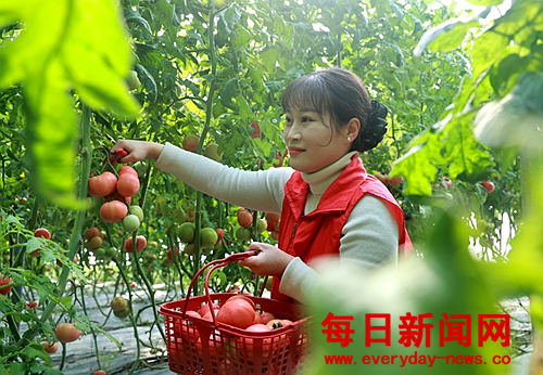 去1111111111111.png 去1111111111111.png