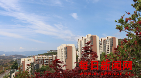 案33333333.png 案33333333.png