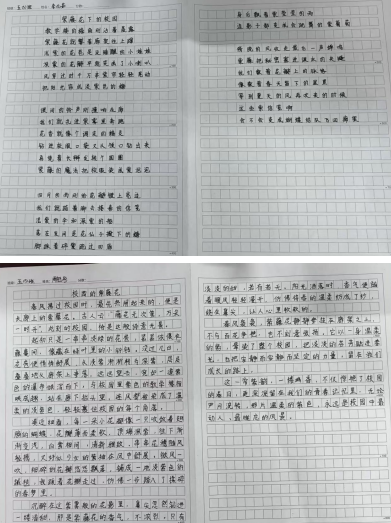 去33333333333.png 去33333333333.png