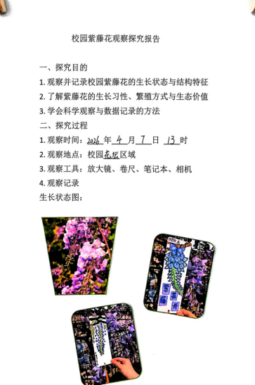 去10.png 去10.png