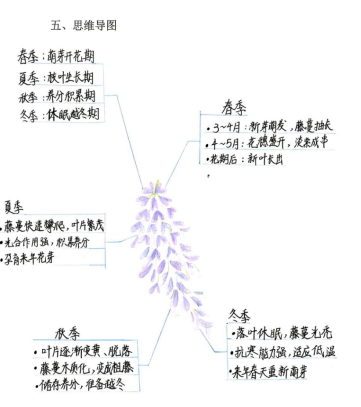 去12.png 去12.png