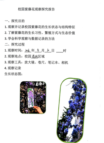 去15.png 去15.png