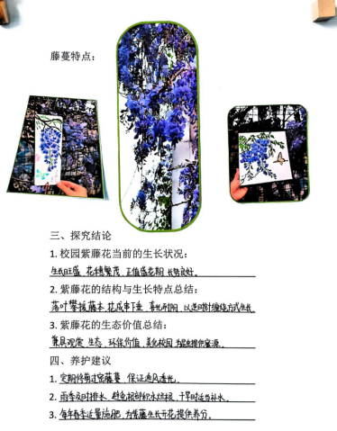 去16.png 去16.png
