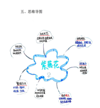 去17.png 去17.png