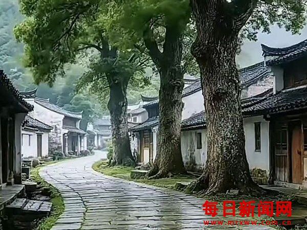 以经济为根基 以法治为保障——中国行为法