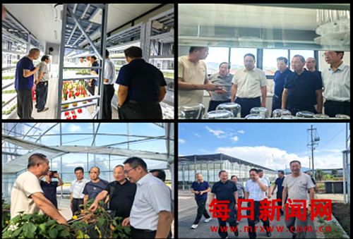 互学互鉴共奋进 ——桐庐、建德、淳安三地